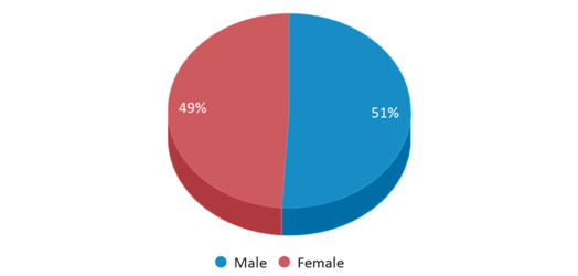 This pie chart depicts the gender distribution at Edgecomb Eddy School. This pie chart depicts the gender distribution at Edgecomb Eddy School.
